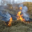 새봄농장(2) 이미지