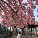 선동 경로당 이미지