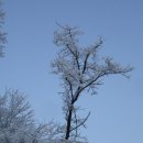 태백산맥 - 중구 | 태백산맥