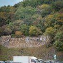 민둥산운동장 3 이미지