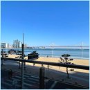 운치 | 부산 광안리 조개구이 운치있던 맛집 후기