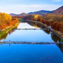 “전국 1위 뽑힌 단풍길이 바로 여기?” 천연기념물 숲길이 선사하는 가을 이미지