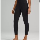 얼라인 짐 이미지