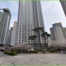 용호4동 행정복지센터 이미지