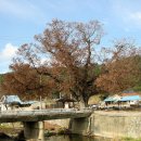 와지(부지2리) 이미지