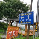 금자메기매운탕 이미지