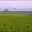 아침들녘 이미지