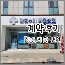 죽전누리공인중개사사무소 | 대구 범어동 황금누리동물병원 계약 후기