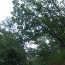 구터미널(회전교차로) | (공주 여행)공주 공산성.(2018년 8월 18일).