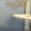 에바돈가츠 화명점 이미지