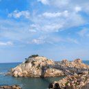 대왕암공원 안내센터 | [공지] 울산 출렁다리부터 대왕암공원까지 산책 후기