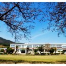 진목초등학교 이미지