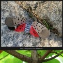 LG사원아파트 앞 이미지