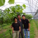 해맑은농장 이미지