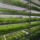 광형농장 이미지