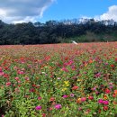 청송정원 이미지