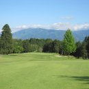 골프19클럽 이미지