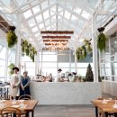 세상의모든아침 이미지