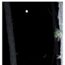 필봉산길 이미지