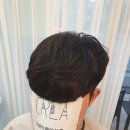크레아헤어(CREA HAIR)