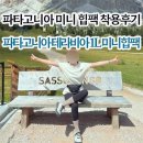 첨담기업4로1L-4 | 파타고니아 테라비아 1L 미니 힙팩 블랙 착샷 후기