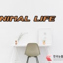 (자격증)정리수납전문가 2급 이미지