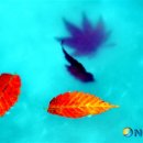 안성시립중앙도서관 전시실 이미지