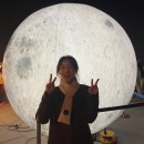 수테이크아웃 | 2022 여의도 한강달빛야시장 후기