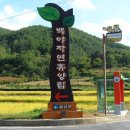 백야자연휴양림 이미지