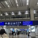 호텔에그 | 여행 1일차 에어프레미아 후기, 베스트 웨스턴 플러스 호텔 근처 맛집, 카우키, 베이크하우스 에그타르트