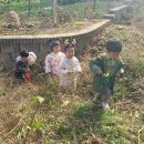 산들바람어린이집 이미지