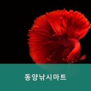 동양낚시 이미지