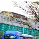 블루시티 이미지