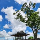 고인돌공원건너 | 강화도 가볼만한 곳 | 연미정, 고인돌 유적, 애기봉평화생태공원 전망대