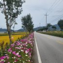 하늘꿈대전어린이집 | 편안한 분위기 비대면 운세 전화점사 육아맘 어린이집 학원 선택 부부동반 가족방문 입춘대길 수제 부적...