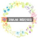 멍냥 펫택시 | [서울 강남/서초/송파/강동] 멍냥이 체험단모집