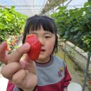 먹방농장1 이미지