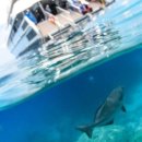 그레이트팜 이미지