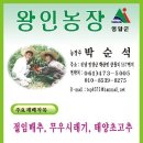 남도농장 Daum카페