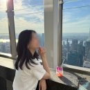 써밋 | 미국여행 뉴욕 써밋 전망대 추천 후기, 엣지vs써밋 비교