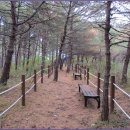 화진포둘레길(죽정리) 이미지