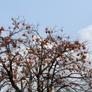 예산-70 | 예산 가볼만한 곳, 또 생각나는 맛: 평일 소복갈비 내돈내산 후기