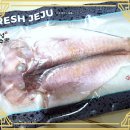 신성수산 이미지