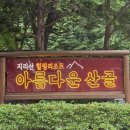 핀란드작은마을 | [하동 숙소] 빠니보틀, 충주맨도 다녀간 "아름다운 산골" 꽃내음 (핀란드 사우나, 바베큐, 내돈내산)