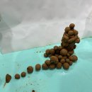 이든지역아동센터 이미지