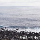 협자연대 이미지