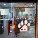 정글M실용음악학원 | 실용음악학원 정글M실용음악학원 안양 동안구 호계동 가격 후기