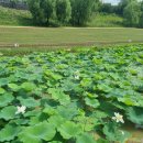 일단지공원 이미지