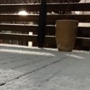 아만두여기요