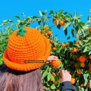 재주농장 이미지